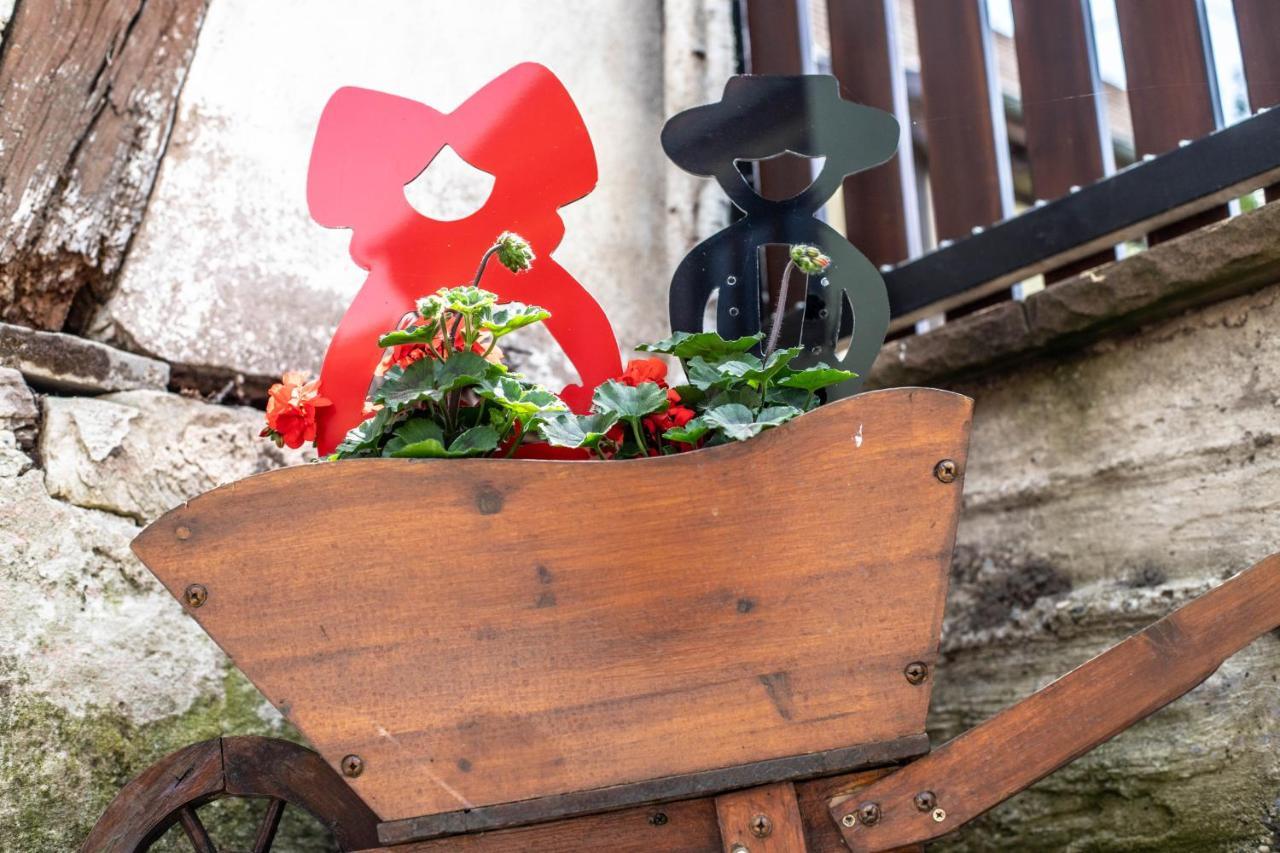 Gite Le Coeur D'Alsace Boofzheim ภายนอก รูปภาพ