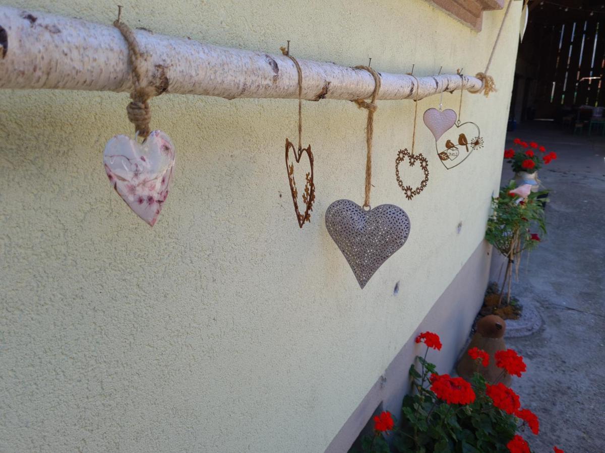 Gite Le Coeur D'Alsace Boofzheim ภายนอก รูปภาพ