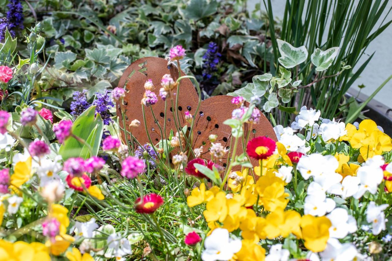 Gite Le Coeur D'Alsace Boofzheim ภายนอก รูปภาพ